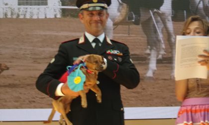 Premio Fedeltà del Cane, protagonisti gli Angeli del Soccorso del Morandi