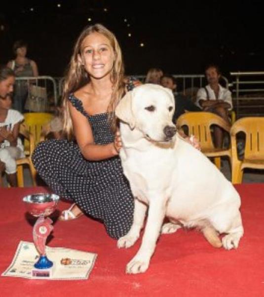 Alle 21 sul Belvedere Tenco il “Dog Pride Recco”