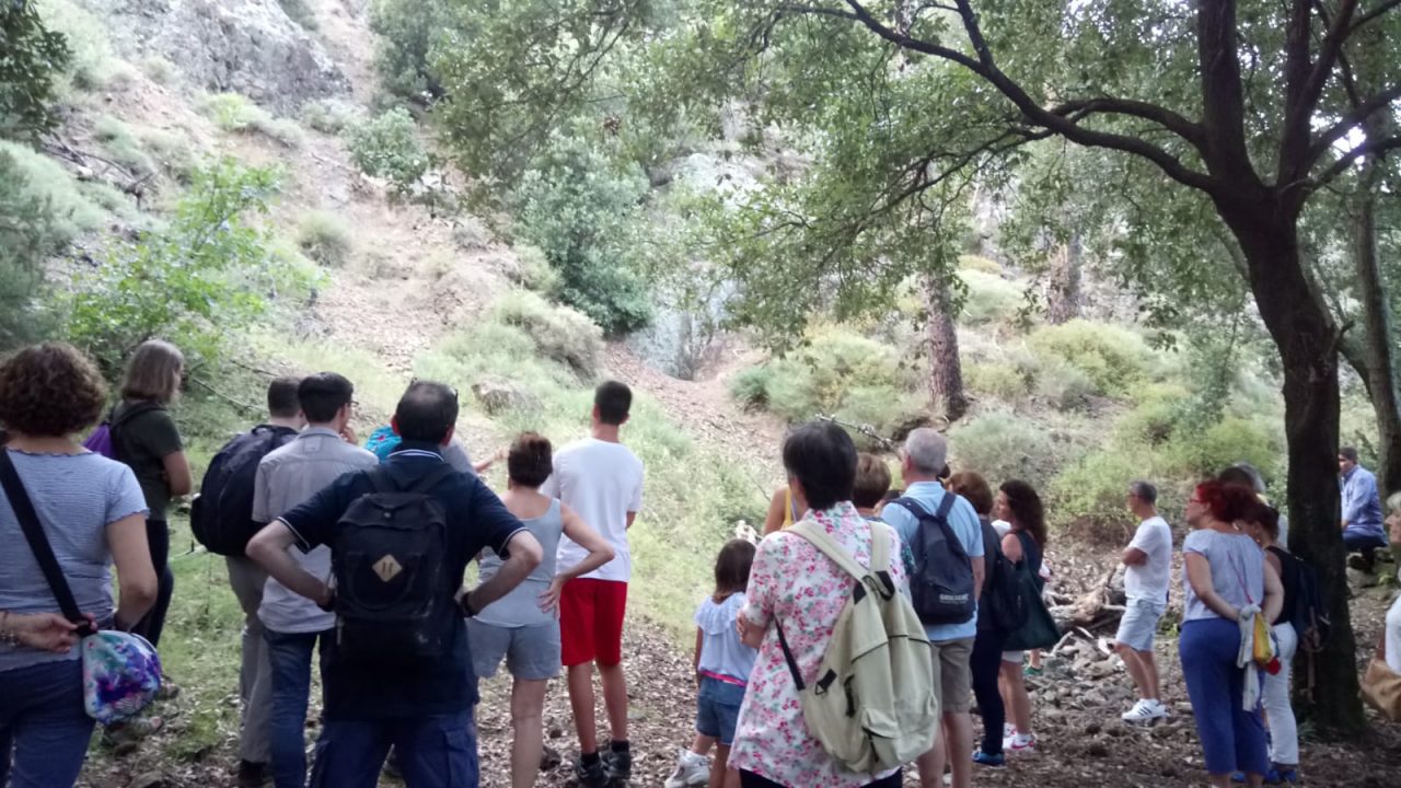 Mediaterraneo Servizi, al via la collaborazione con GeoLogica