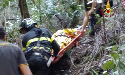 Si frattura una caviglia durante la gara cinofila, complicato soccorso dei Vigili del Fuoco