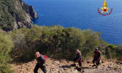 Parco di Portofino: "Biciclette e cani lasciati liberi sono pericolo costante"