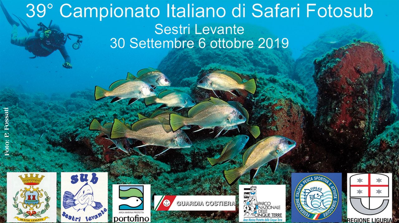 Fotografie subacquee in mostra a Sestri