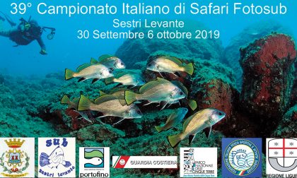 Fotografie subacquee in mostra a Sestri