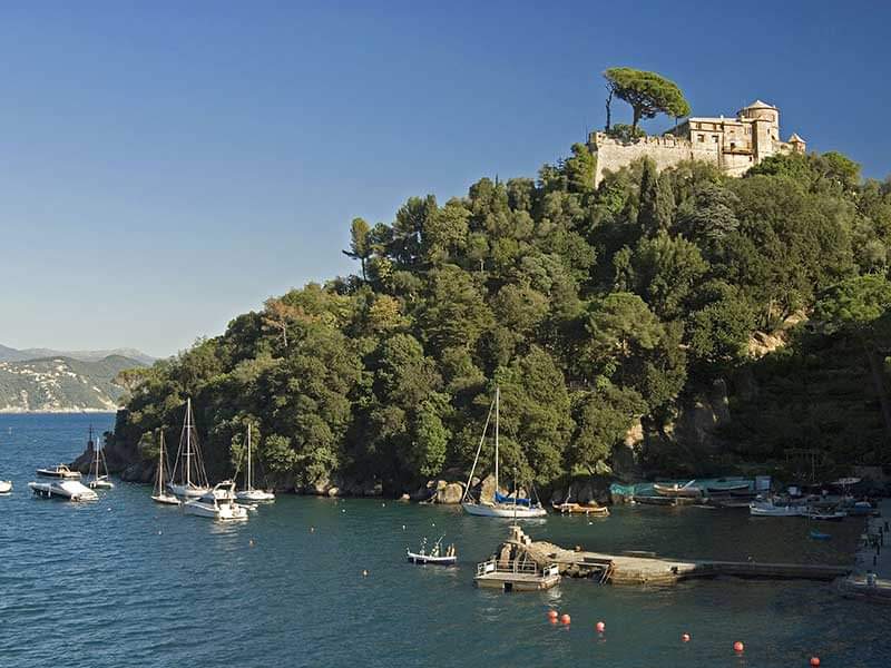 I bambini piantano un pino marittimo sulla passeggiata di castello Brown