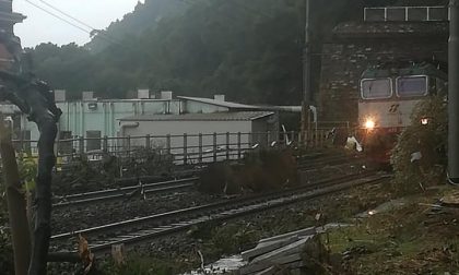 Tromba d'aria a Chiavari, treno fermo nella zona di Preli