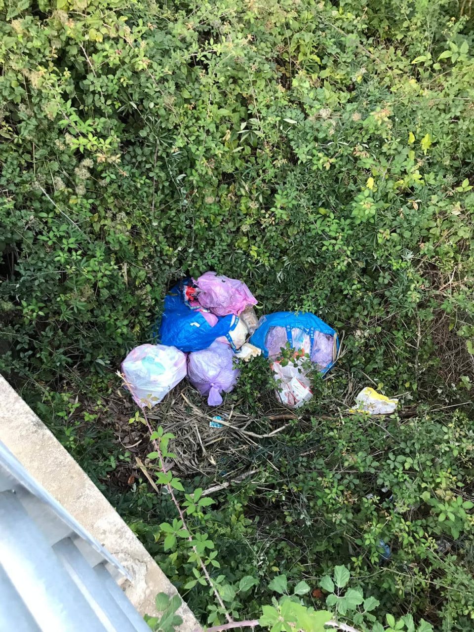 Sterpaglie e discariche a cielo aperto, interpellanza di Marco Conti