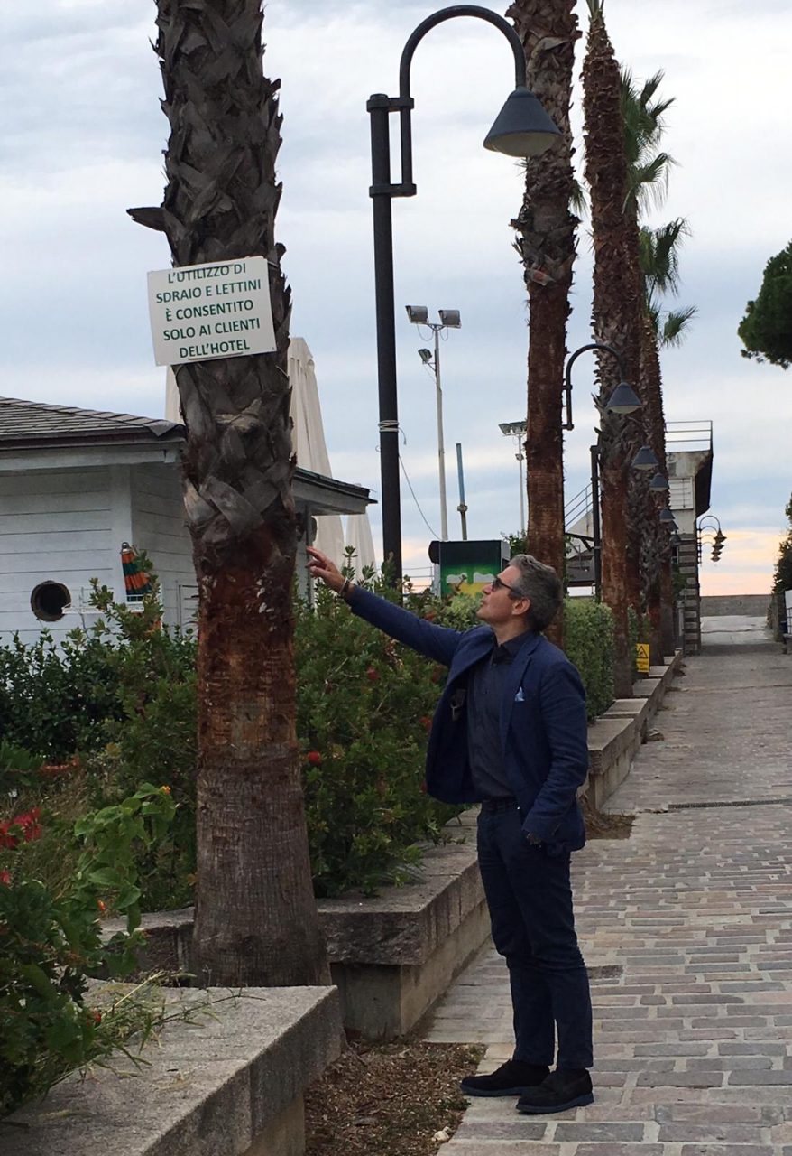 Potatura degli alberi in centro per dare sicurezza e decoro alla città