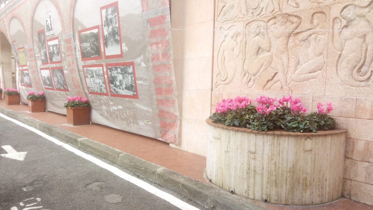 Recco, fiori in vista del 10 novembre