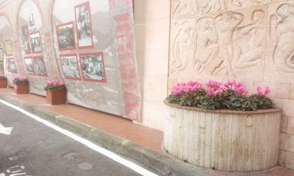 Recco, fiori in vista del 10 novembre