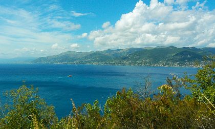 Trekking fotografico alla scoperta dei paesaggi nascosti di Portofino