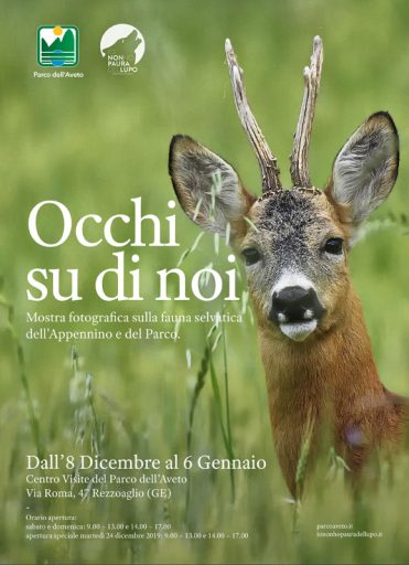 Occhi su di noi, la mostra