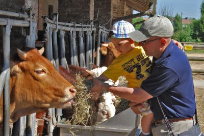 Fattorie didattiche, il sostegno regionale