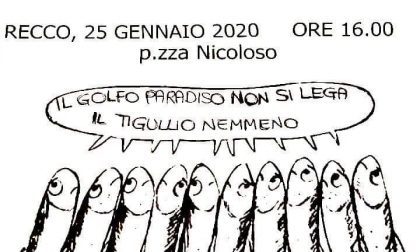 No alla chiusura dello Sprar: anche nel Golfo Paradiso si sollevano le Sardine