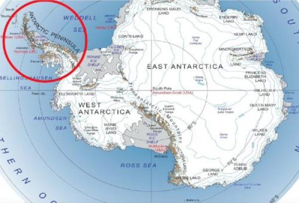 Antartide: nella spedizione sulla terra ghiacciata anche il chiavarese Sanguineti