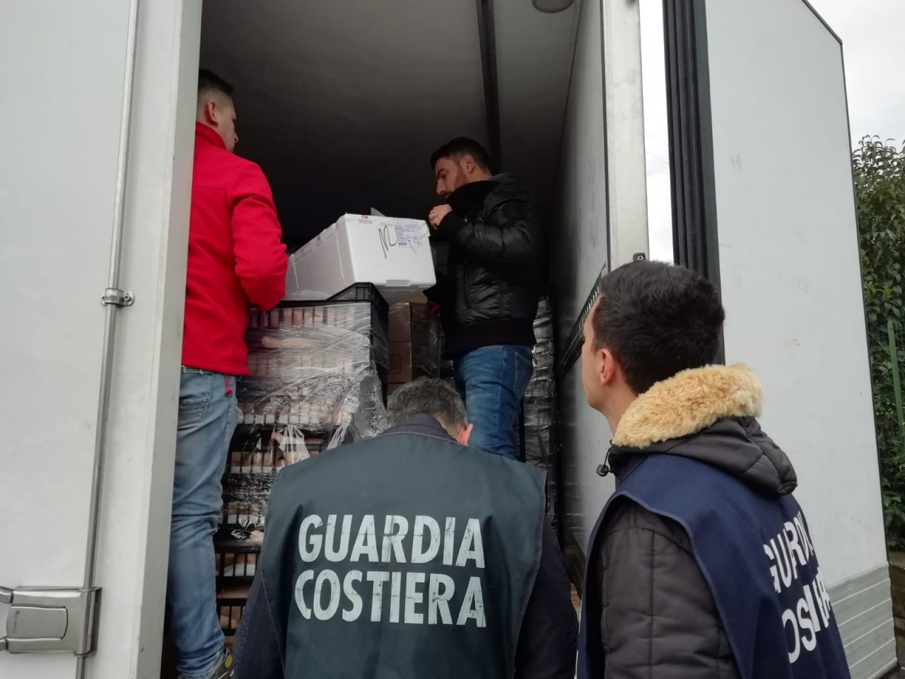 Data e origini fasulle del pescato, operazione della Guardia costiera