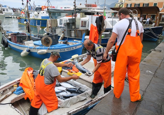 Palamito, la protesta dei pescatori contro le limitazioni