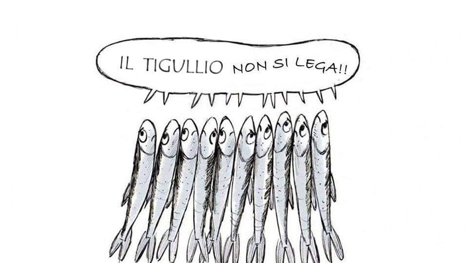 Le sardine scendono in piazza a Recco contro la chiusura dei Centri di accoglienza di rifugiati a Sori e a Recco
