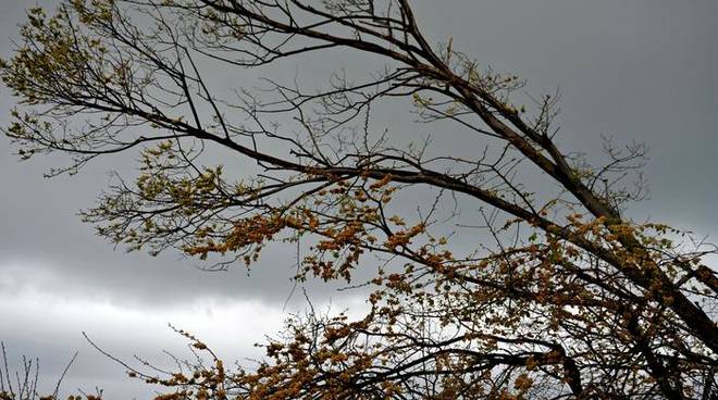 Chiavari: Arpal Conferma L'avviso Meteorologico Per Vento Di Burrasca ...