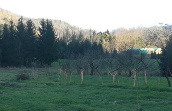 L’anello di Calvari riservato ai giovani ciclisti: il progetto