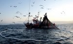"I pescatori pagano come tutti le tasse 365 giorni all’anno, ma ormai lavorano per meno della metà"