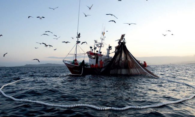 Pesca, le marinerie si mobilitano contro il piano d’azione UE