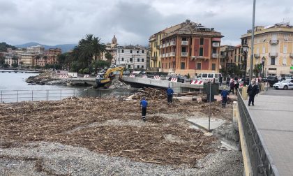 Iniziata la pulizia della spiaggia dell’Antico Castello sul Mare