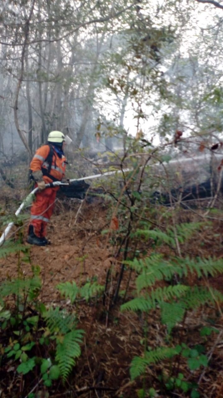 In fiamme il Monte di Portofino