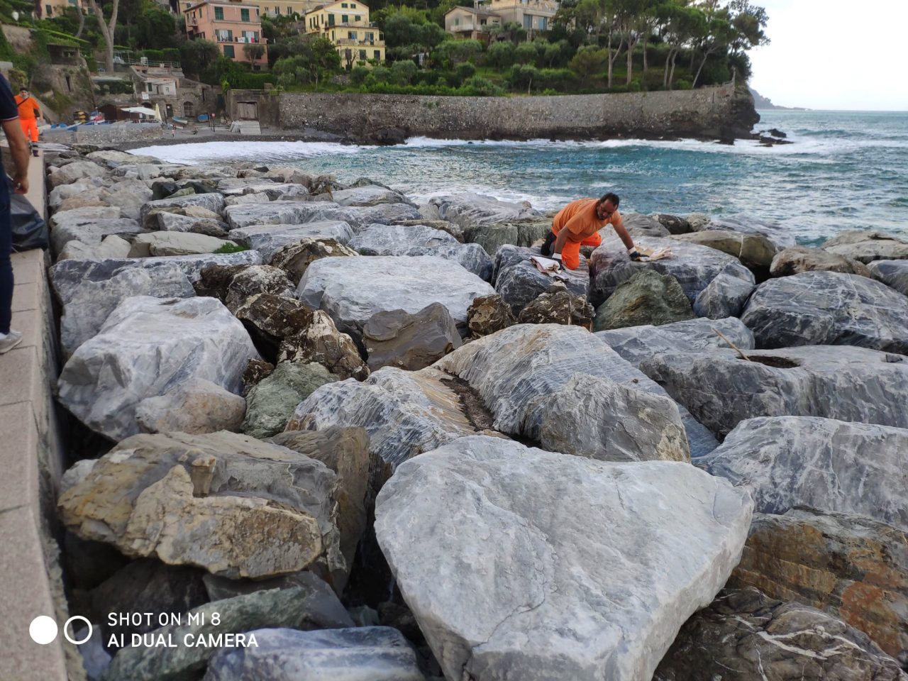 Pulizia di spiagge e scogliere a Recco