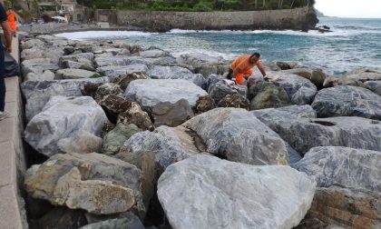 Pulizia di spiagge e scogliere a Recco