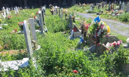 "Vergogna" Guardate in che condizioni versa il Cimitero Monumentale di Staglieno