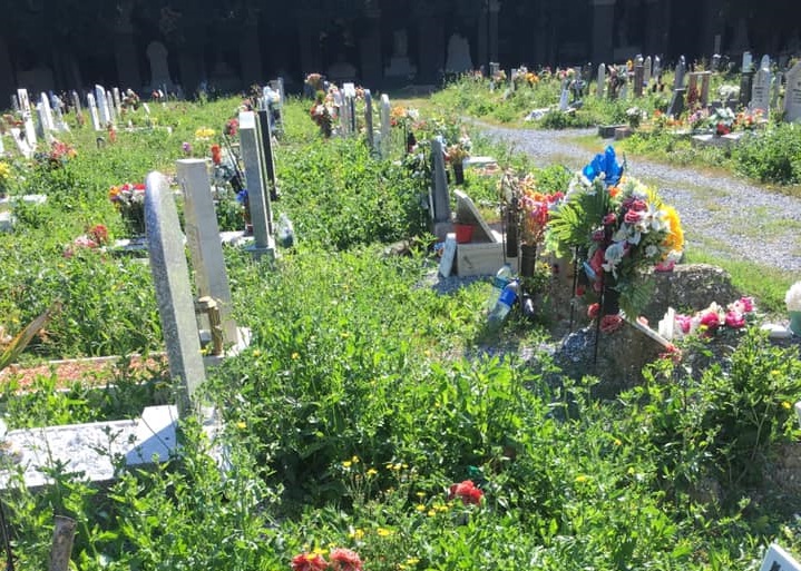 “Vergogna” Guardate in che condizioni versa il Cimitero Monumentale di Staglieno