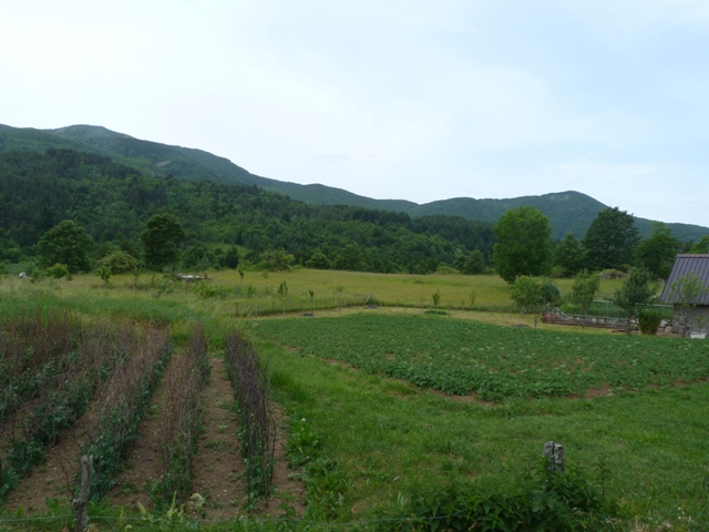 Visita guidata all’Azienda Agricola “Villa Rocca”