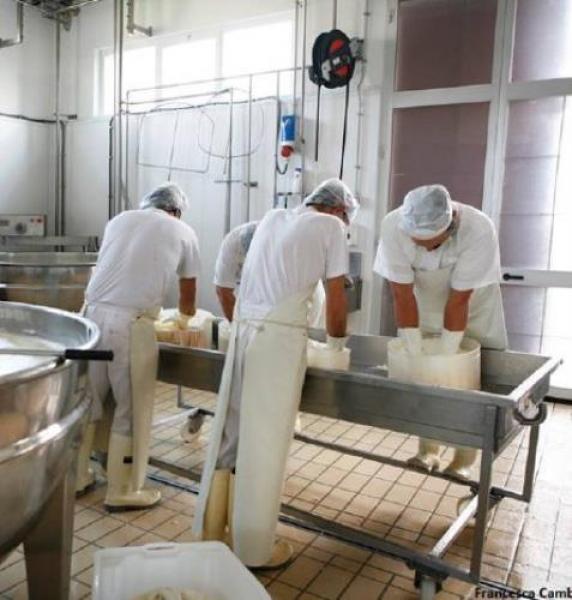 Il Caseificio si aggiudica il Superior Taste Award