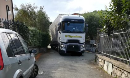 Tir blocca la strada e abbatte recinzioni e alberi
