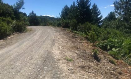 Terminati i lavori sulla strada di Picchetti