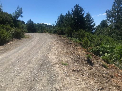 Terminati i lavori sulla strada di Picchetti