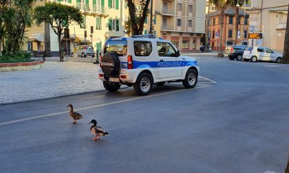 Santa Margherita Ligure, il bilancio dell'attività della Polizia Locale