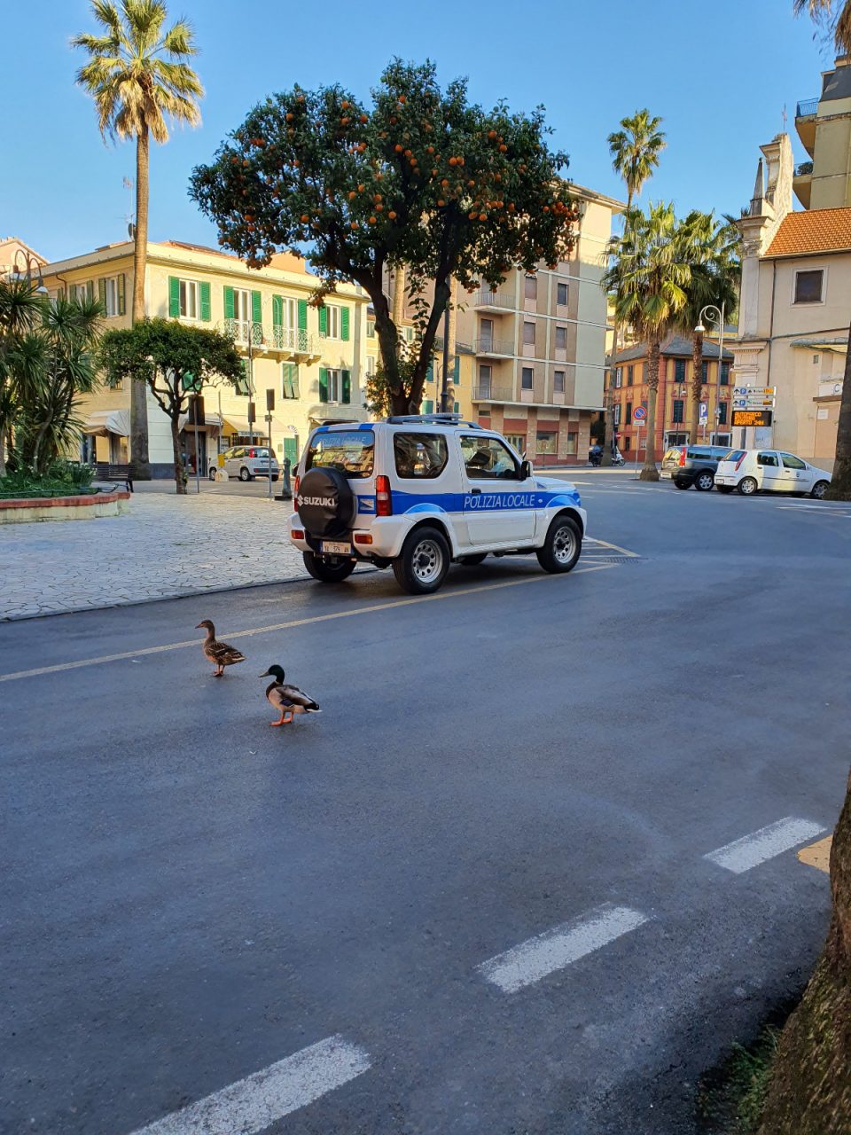 Santa Margherita Ligure, il bilancio dell’attività della Polizia Locale