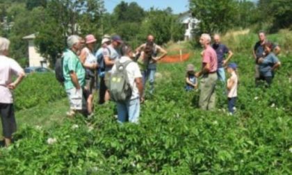 Visita guidata all’Azienda Agricola "Villa Rocca"