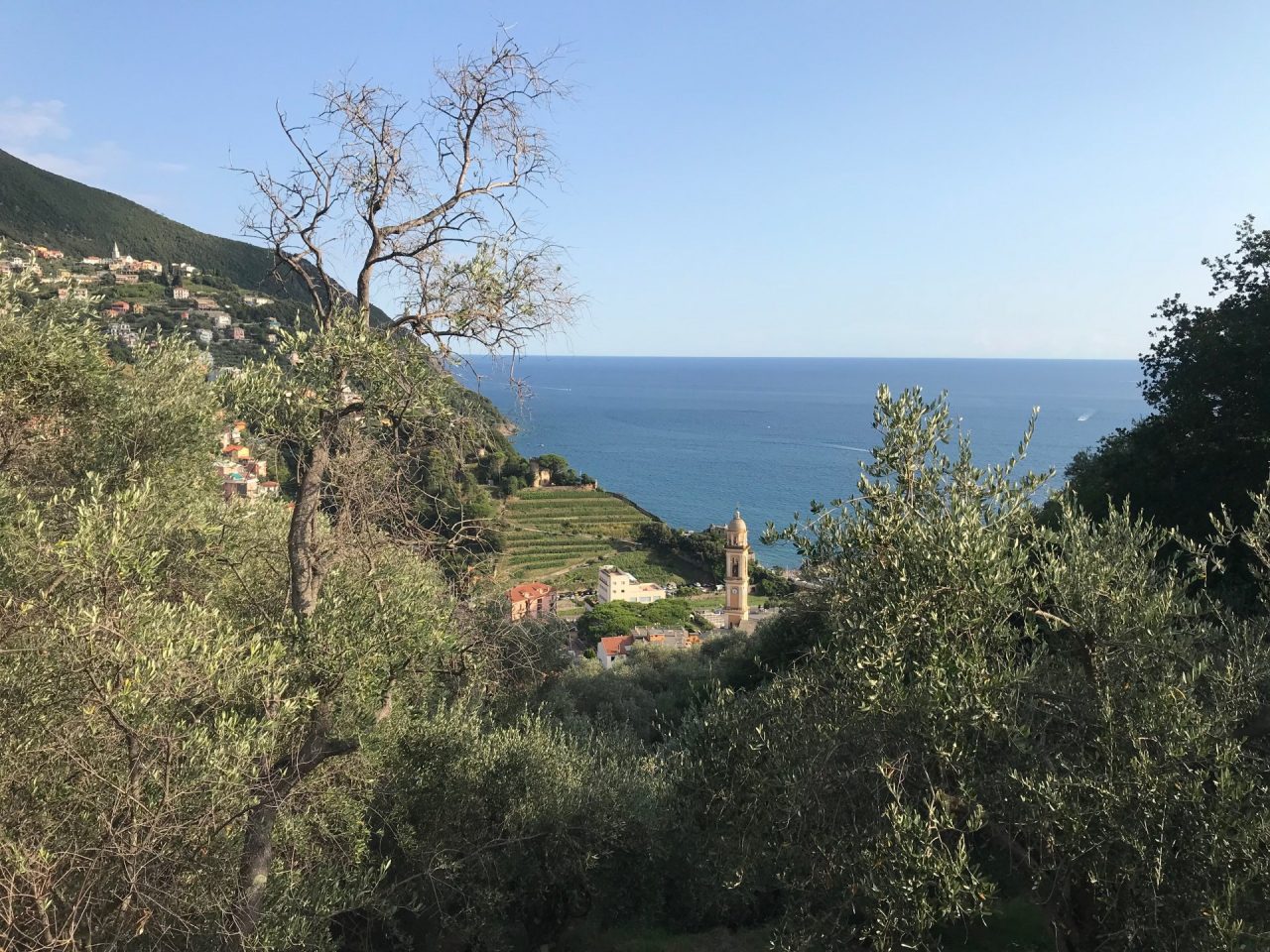 Camminando a Moneglia: alla scoperta del territorio e nel nome dell’educazione ambientale