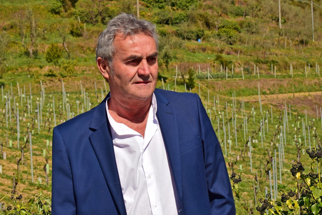 Danni del maltempo, chiesti contributi alle aziende agricole