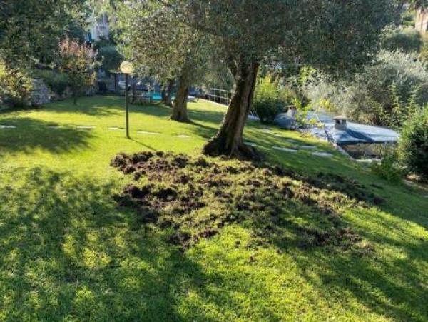 “No all’abbattimento, sì al contenimento”