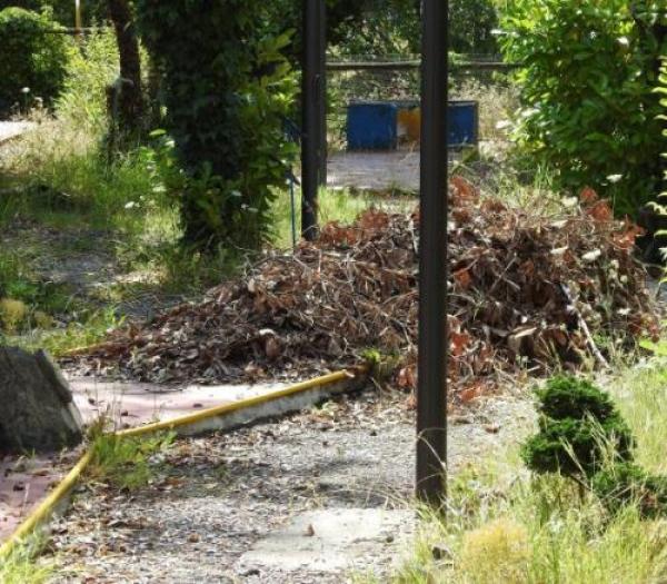 Gestione in stallo. Minigolf nel limbo
