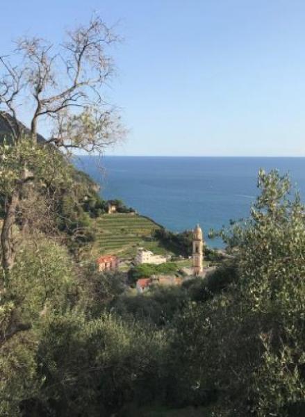 Camminando a Moneglia ad agosto