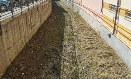 Pulizia di tutti i torrenti