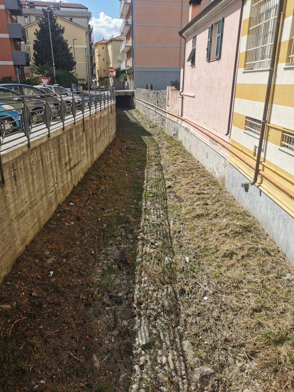 Pulizia di tutti i torrenti