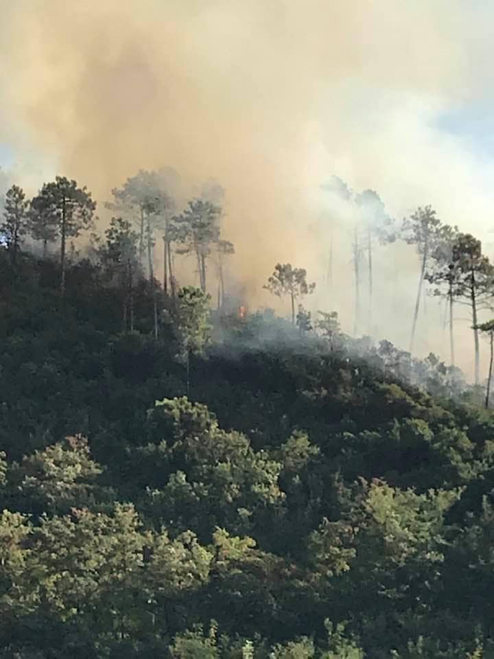 Incendio boschivo fra Sestri e Casarza
