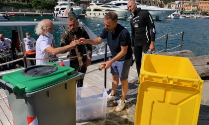 Operazione Fondali Puliti, a Portofino recuperati rifiuti dal mare