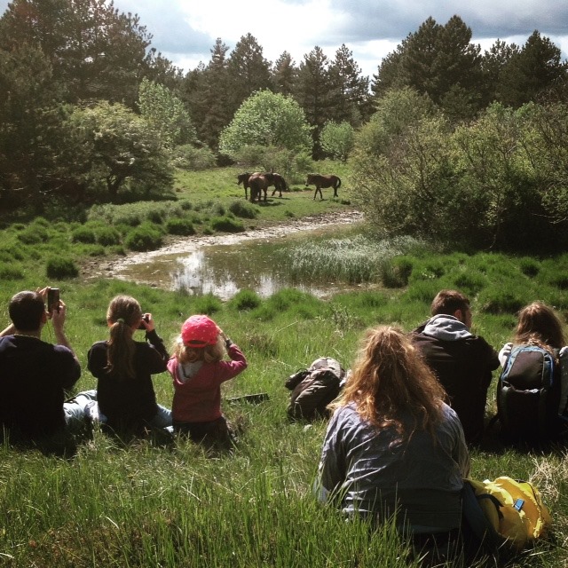 Eventi della settimana nelle Valli del Parco dell’Aveto