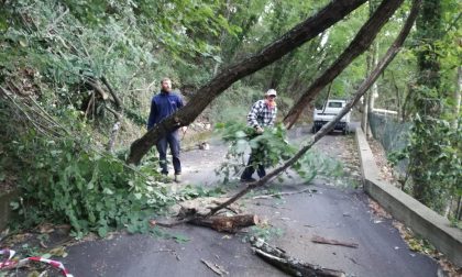 Il neosindaco di Zoagli alle prese con le deleghe e già le prime emergenze maltempo
